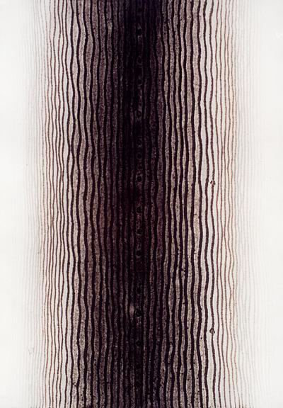 Exhibition Banner